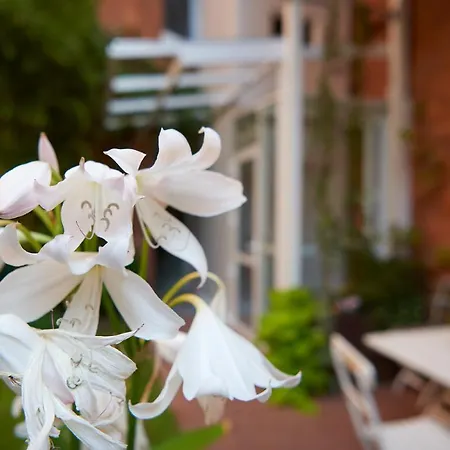 Hannover City Studio